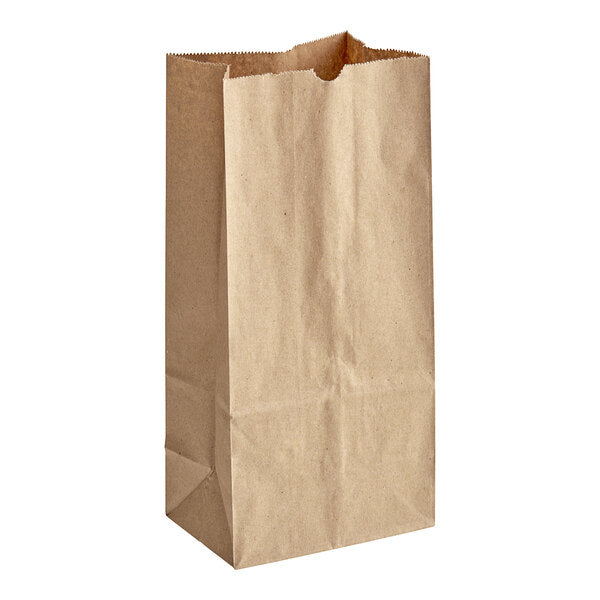 5 LB Heavy Duty Grocery Paper Bag, [400/Case]