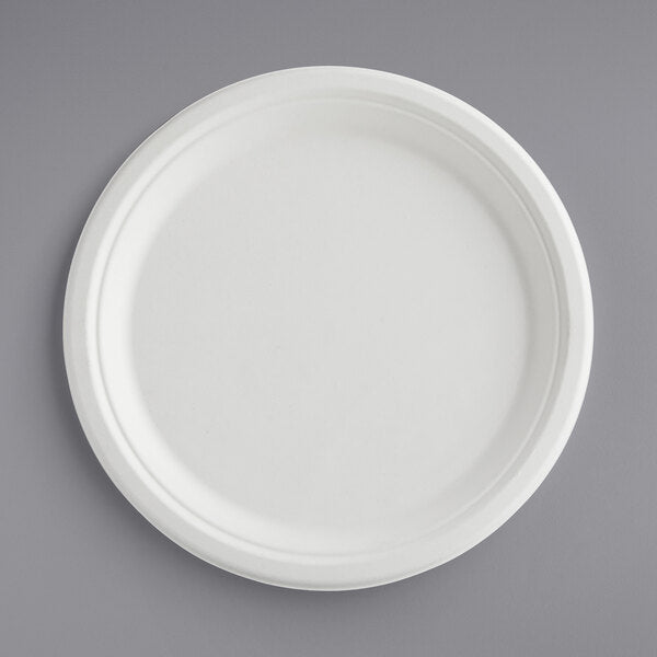 10" Biodegradable Round Plate, White  [500 Pack]