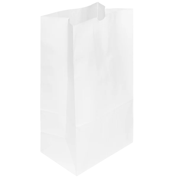 20 LB White Paper Grocery Bag [500/Case]